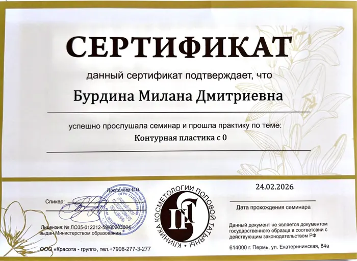 Контурная пластика, 2026 — Бурдина М. Д.